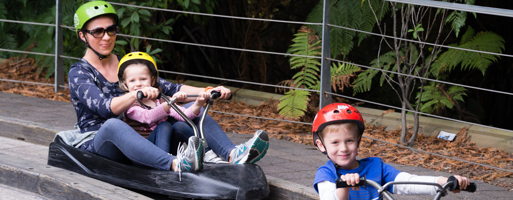 image of people on luge